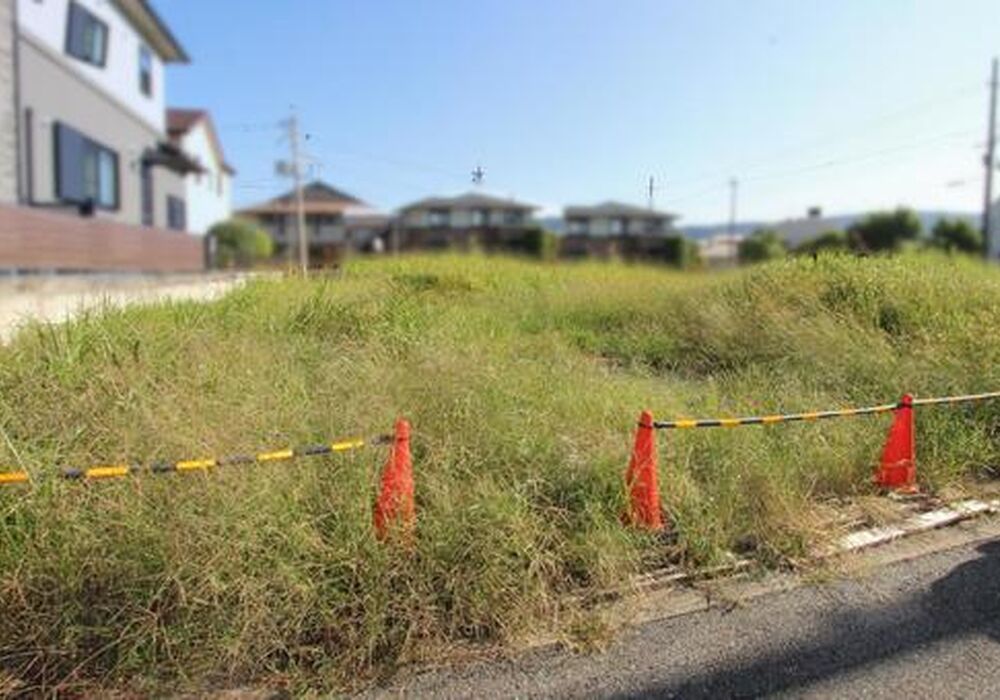 南区写真イメージ